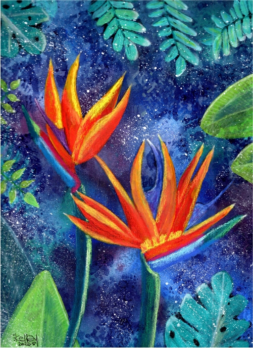 Bird of Paradise